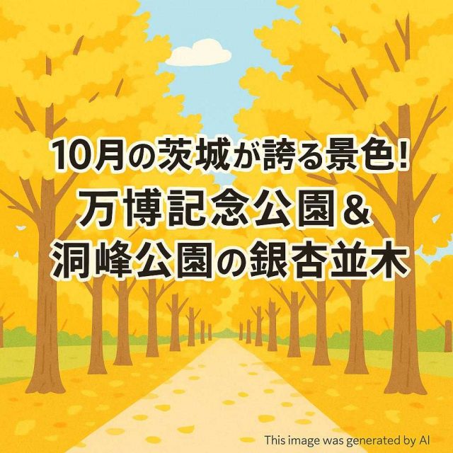 10月の茨城が誇る景色！万博記念公園＆洞峰公園の銀杏並木